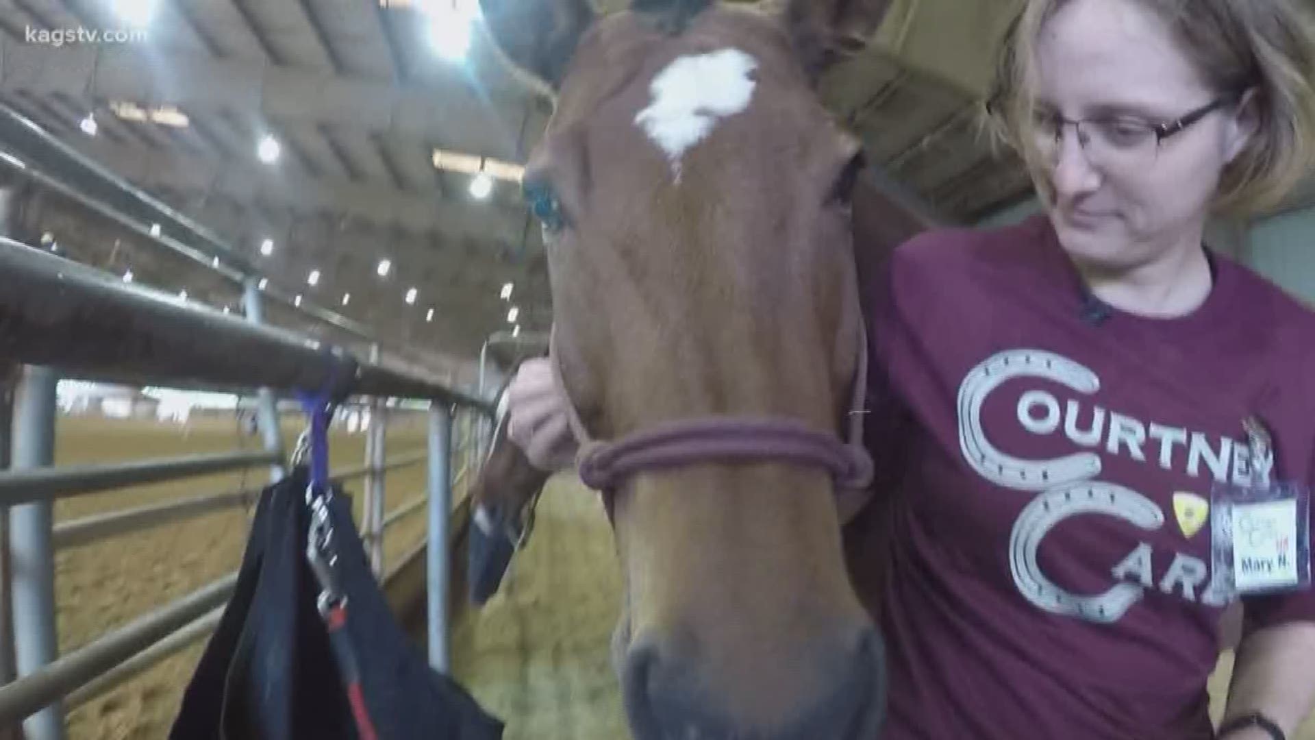 The four-legged Aggies with the Texas A&M Corps of Cadets Parson's Mounted Cavalry, the horses are helping to build champions through healing.