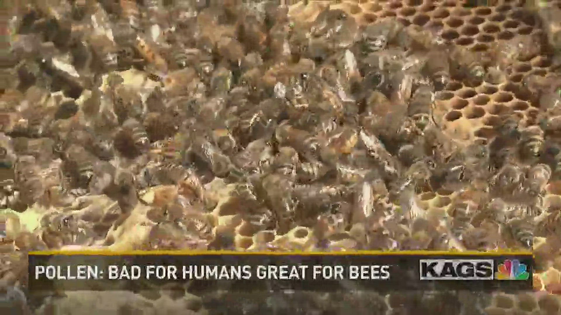 Local bee keeper shows us the benefits of bees.