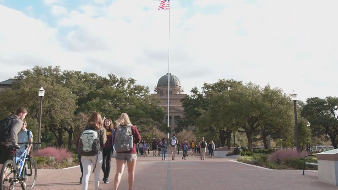 Controlled Environment Agriculture program is taking root at TAMU - Vimarsana News