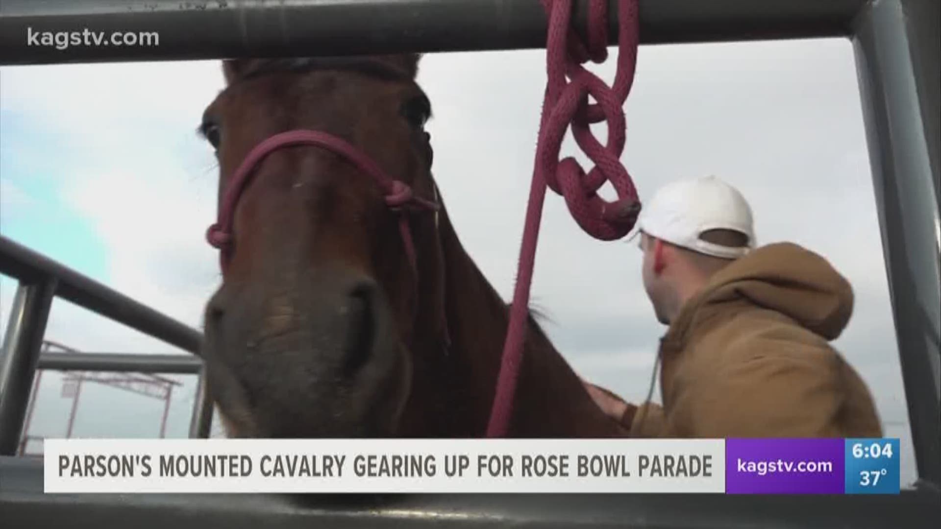 This year the A&M Corps of Cadets Parson's Mounted Cavalry will be in the national spotlight as they ride in the annual Rose Bowl Parade in California.