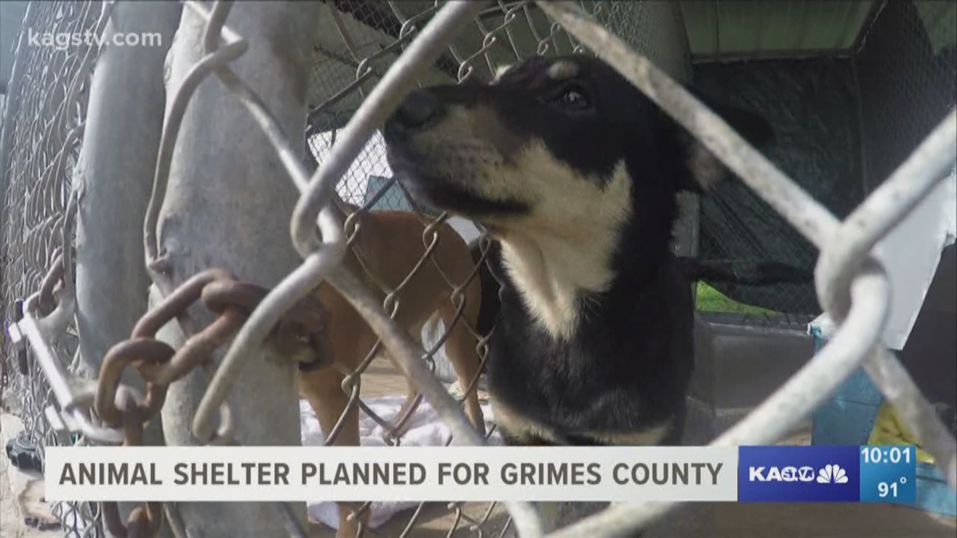 Animal Shelter planned for Grimes County 