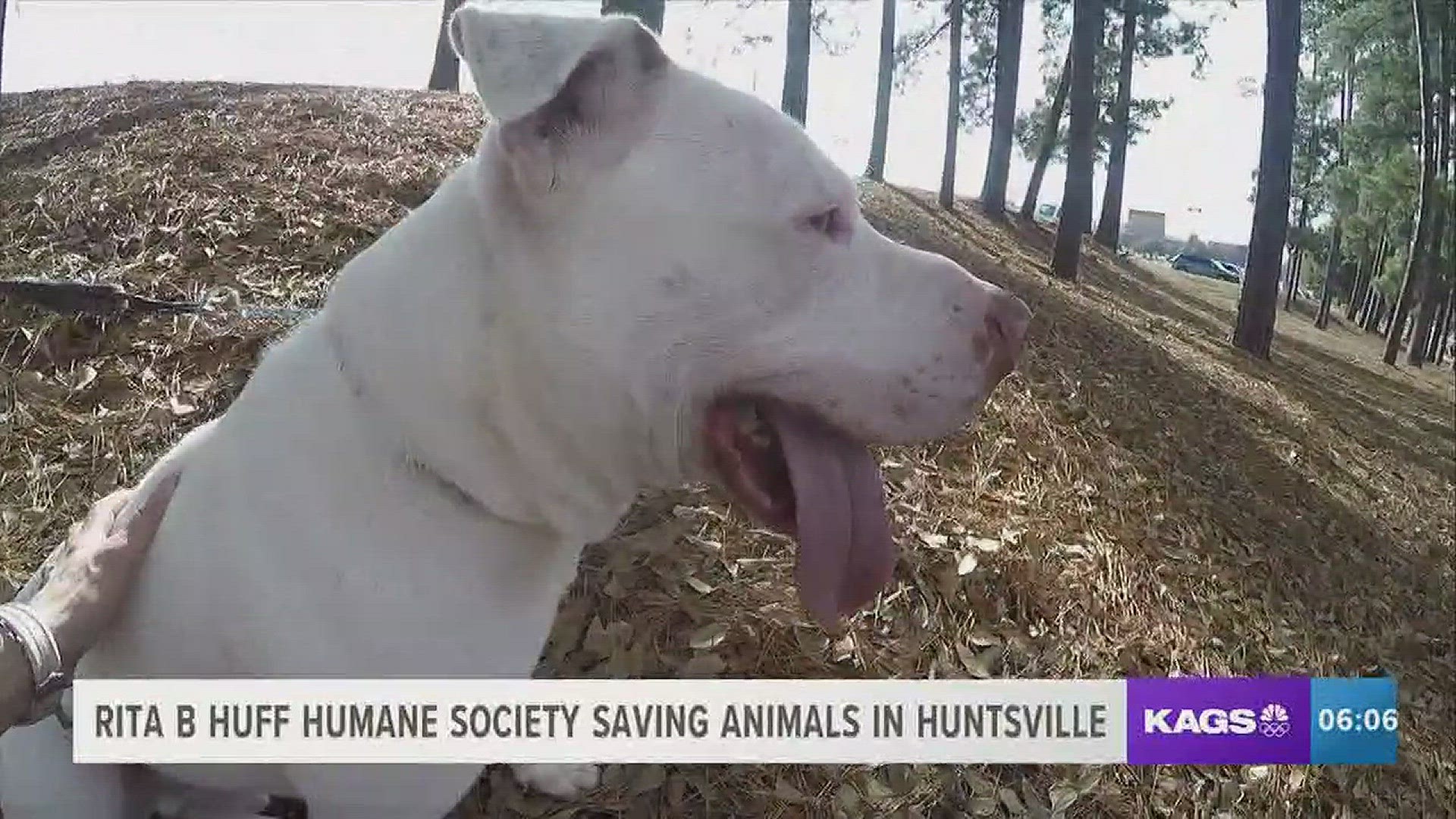 For the last few weeks we've been visiting animal shelters and rescues across the area featuring animals available for adoption. This week we went out to Huntsville to learn more about a humane society named after a Sam Houston State professor who dedicat