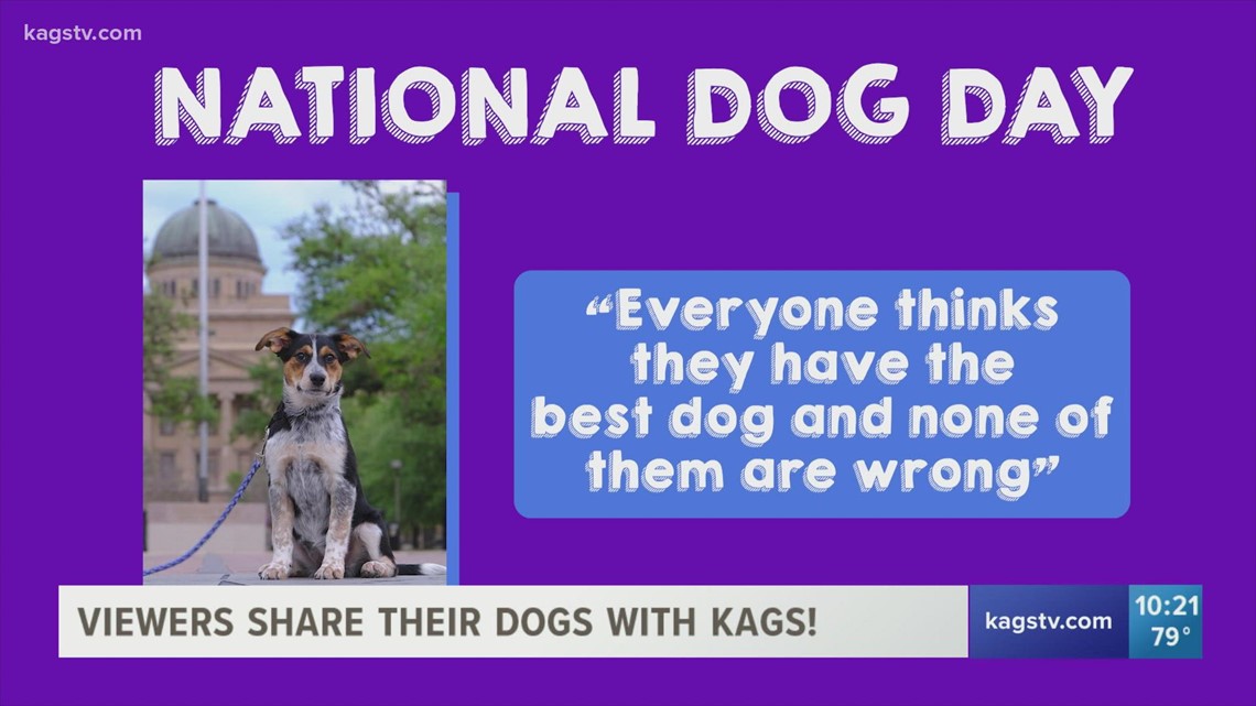 KAGS News celebrates National Dog Day in Brazos Valley - Vimarsana News