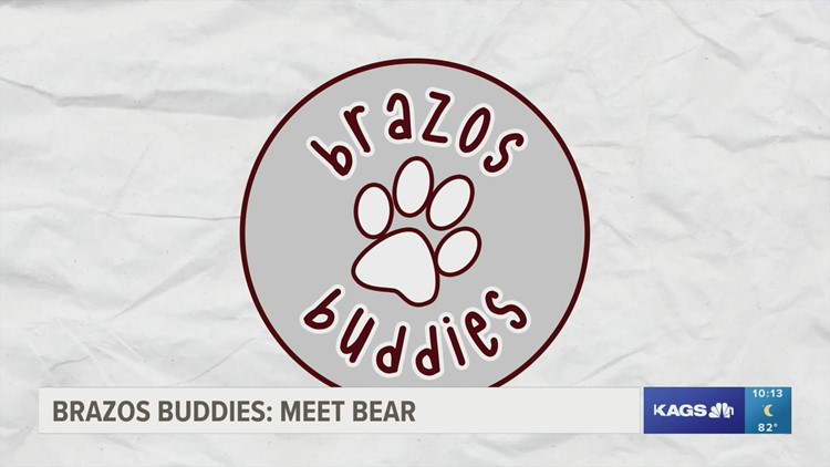 Brazos Buddies: Meet Bear