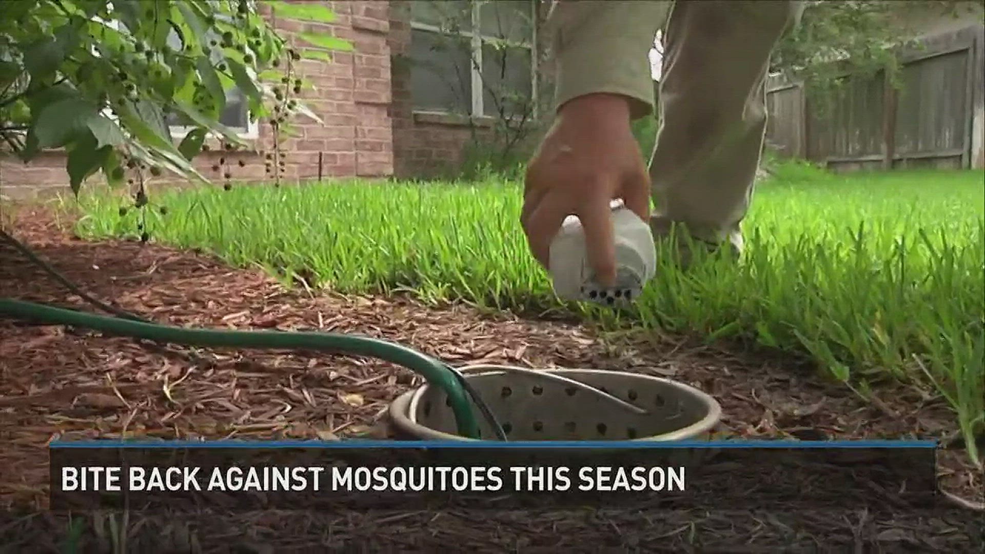 Local company fighting pests and helping others.