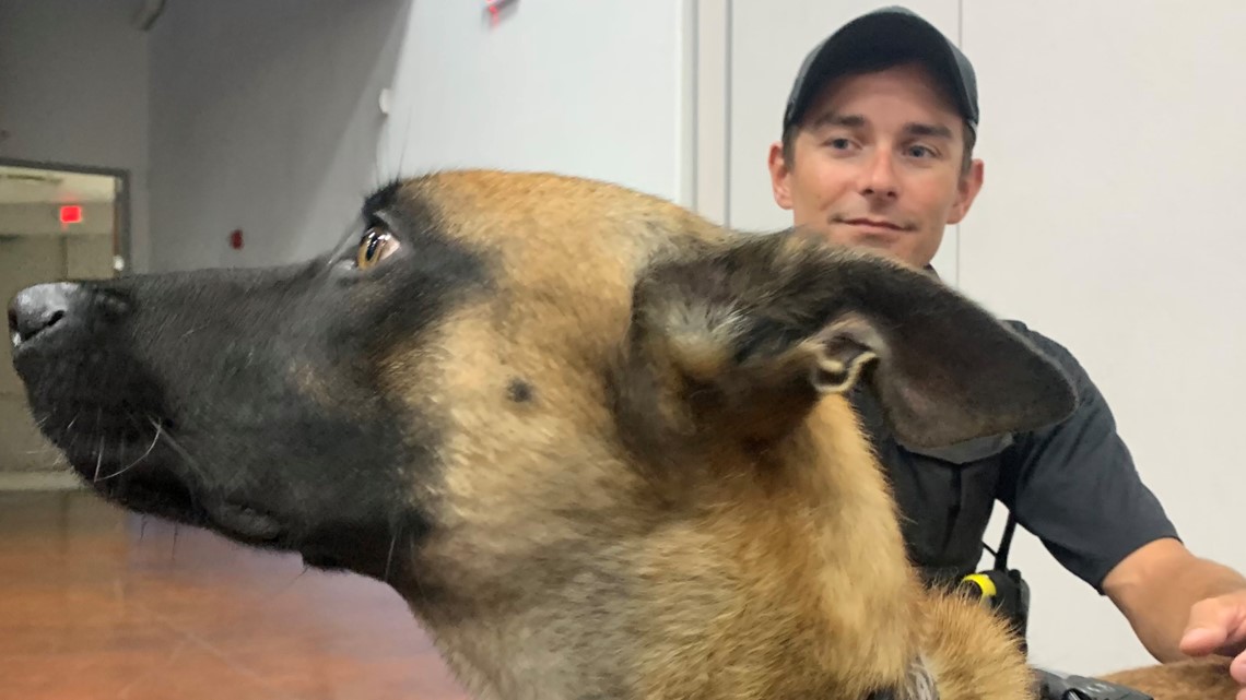 Burleson County using new K9s to find drug dealers in their count - Vimarsana News