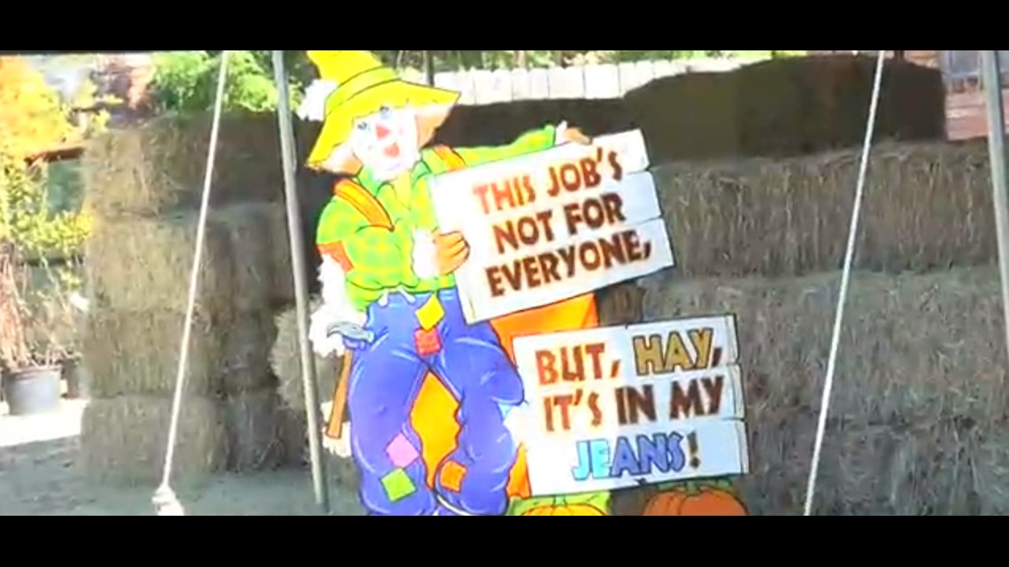 The Farm Patch in Bryan is thriving in spite of challenging times