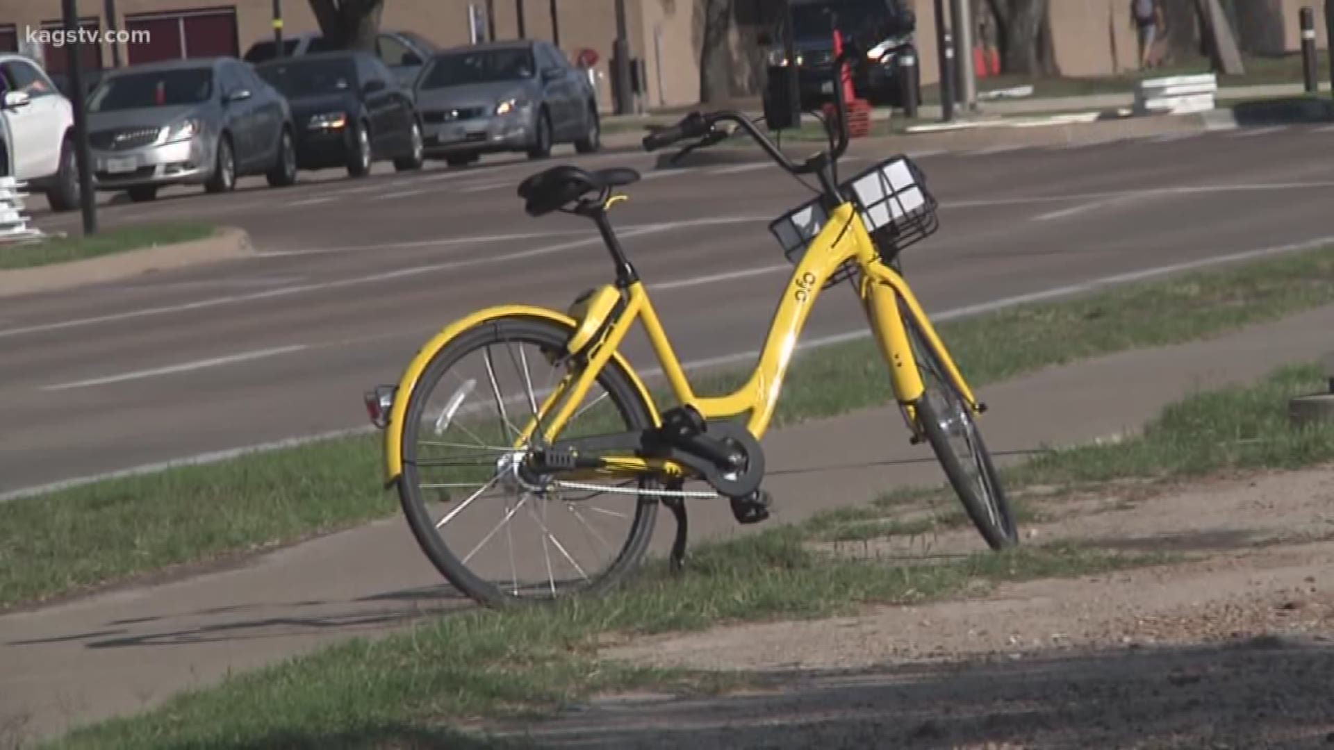 A&M Transportation Services are now rounding up the yellow bikes across town since the city revoked OFO's permit to operate Friday.