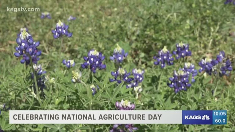 Today is not only the first day of spring, it's National Agriculture Day, and those in the Brazos Valley are celebrating.