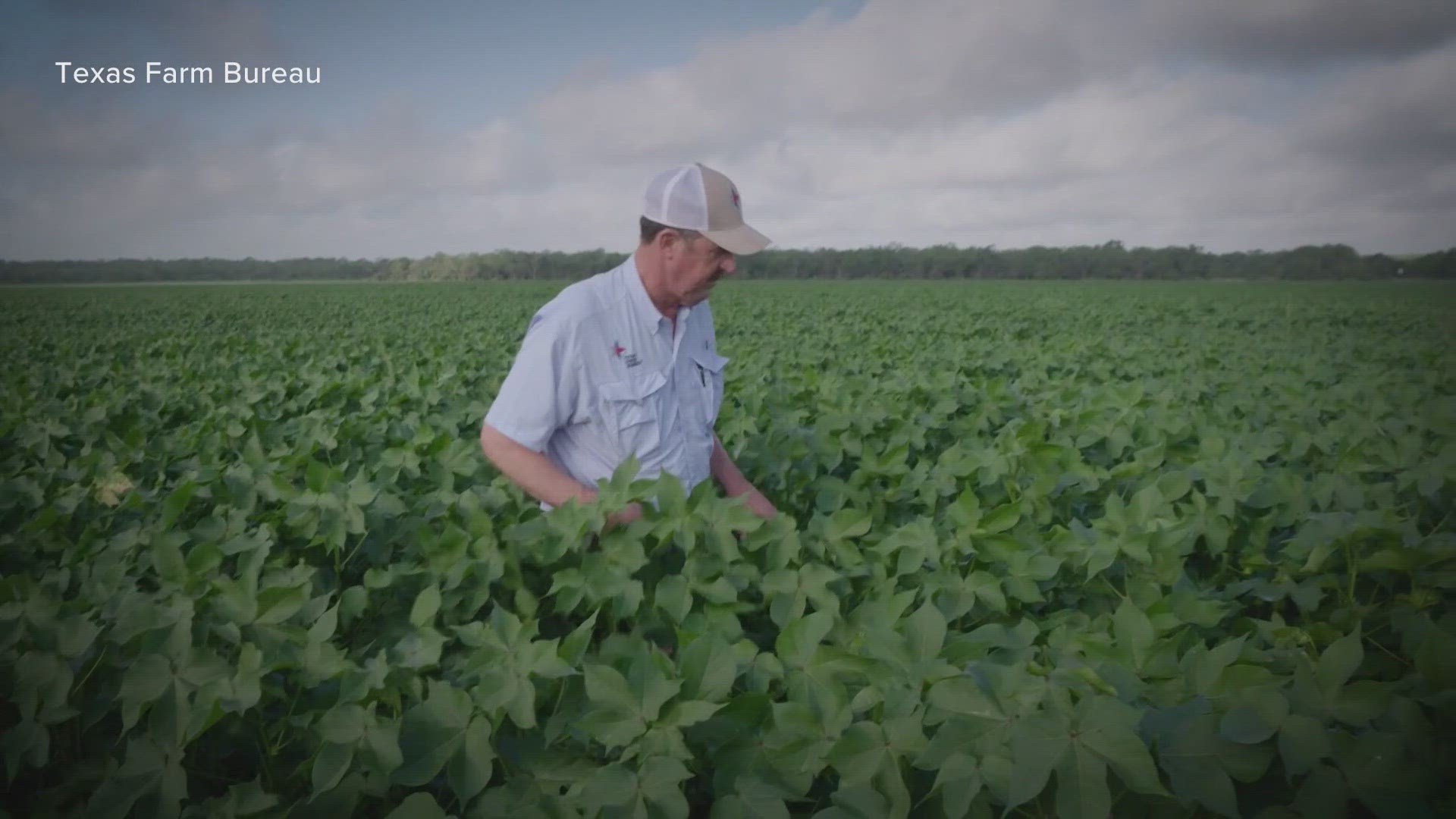 6 News breaks down Proposition 1 and why farmers feel it's important.