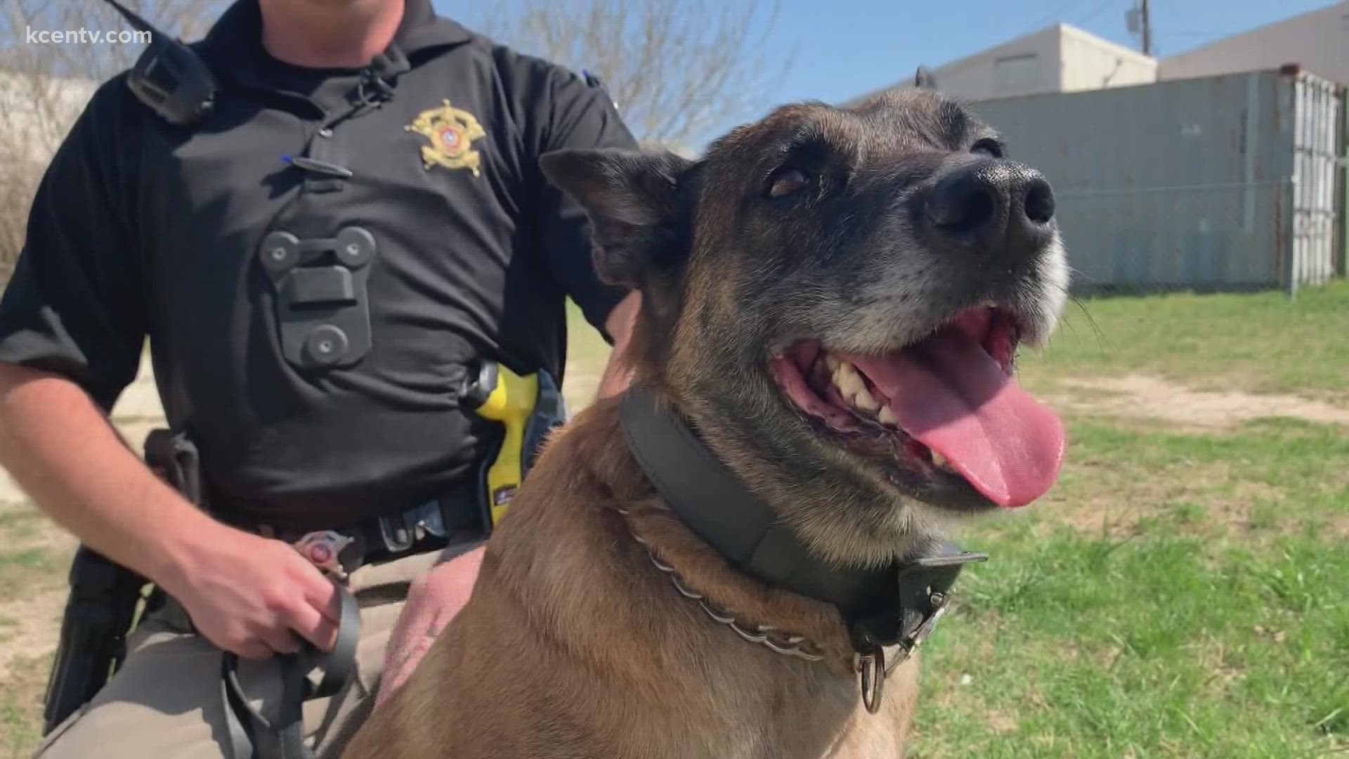 While the Coryell County Sheriff's Office does have a budget allocated for their K9 program, it doesn't cover what the K9 Stana needs to get healthy.