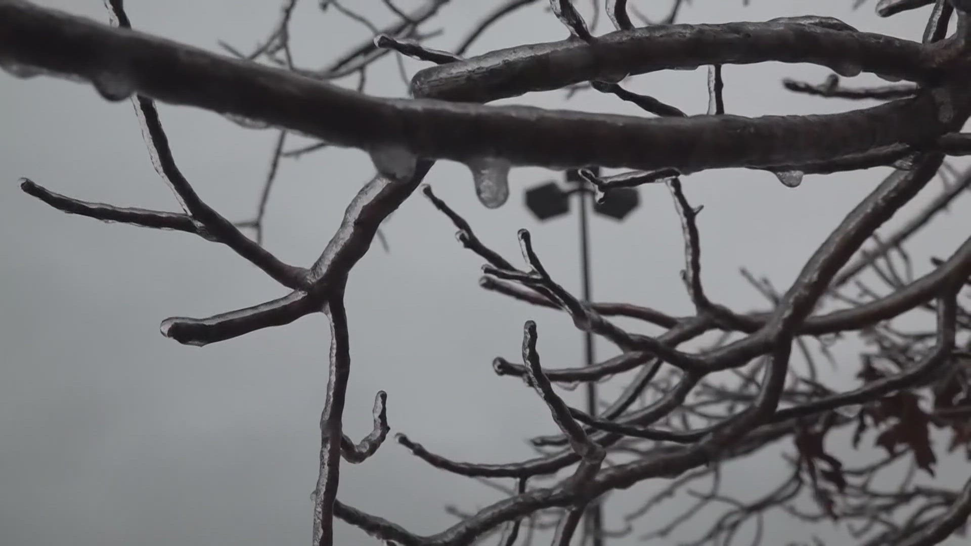 What's the coldest it's ever been in Texas?