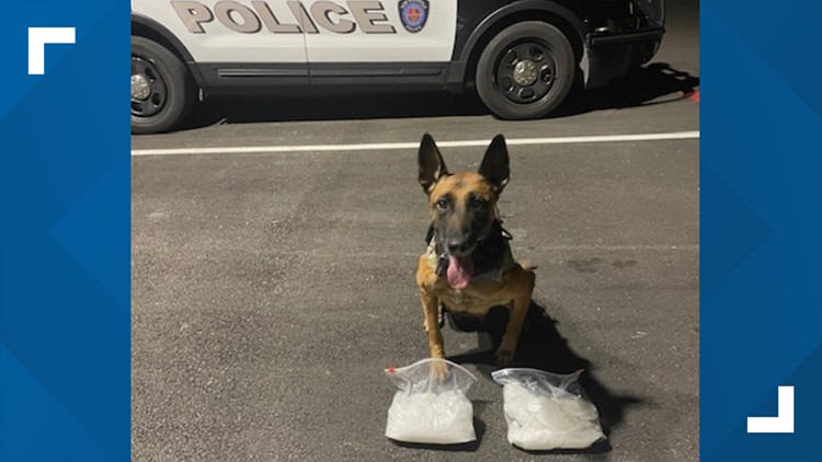 New Braunfels K9 Voska alerts officers to over four pounds of meth hidden inside purse during traffic stop