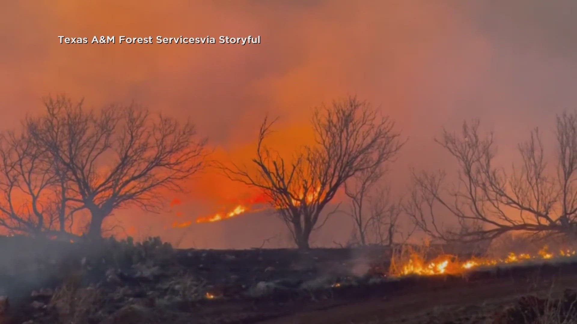 Texas Gov. Greg Abbott issued a disaster declaration for 60 counties in response to the widespread wildfire.