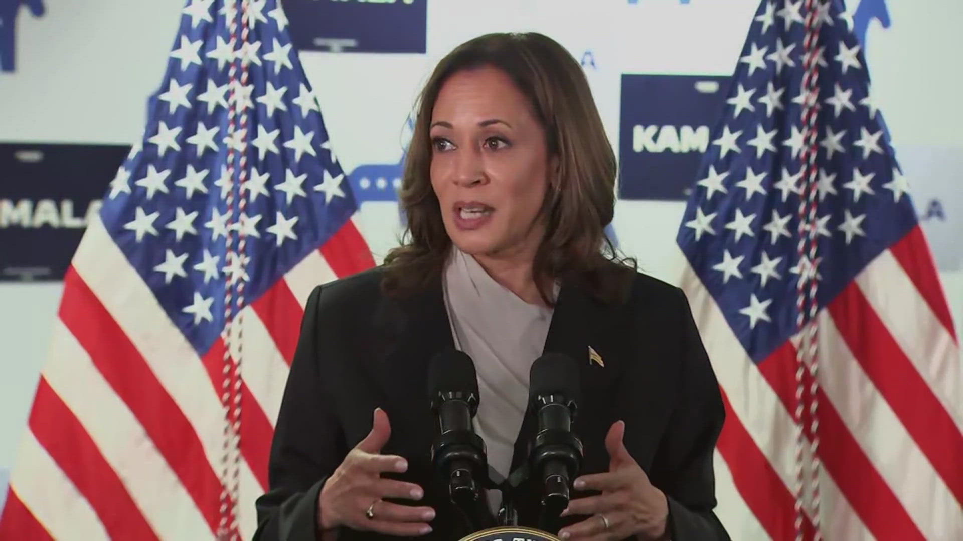 Texas Democratic Party endorses Kamala Harris for president