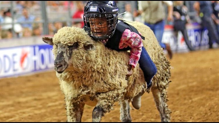 Mutton bustin' always a fan favorite at RodeoHouston; here's how your kid can give it a try