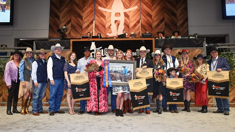 Teen breaks her own record at Houston rodeo art auction