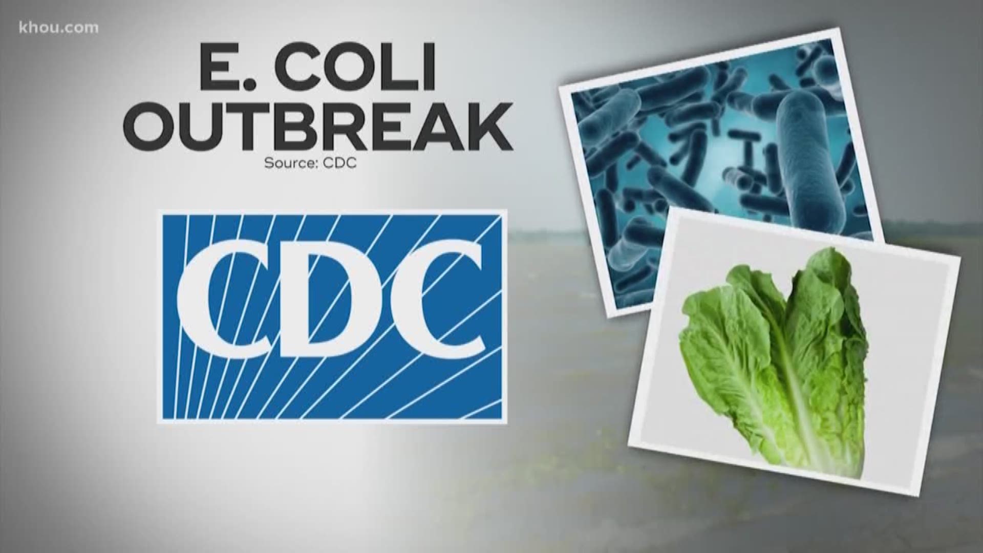 H-E-B, Kroger and Whataburger have voluntarily removed all romaine lettuce products after U.S. officials alerted to an E. coli outbreak.