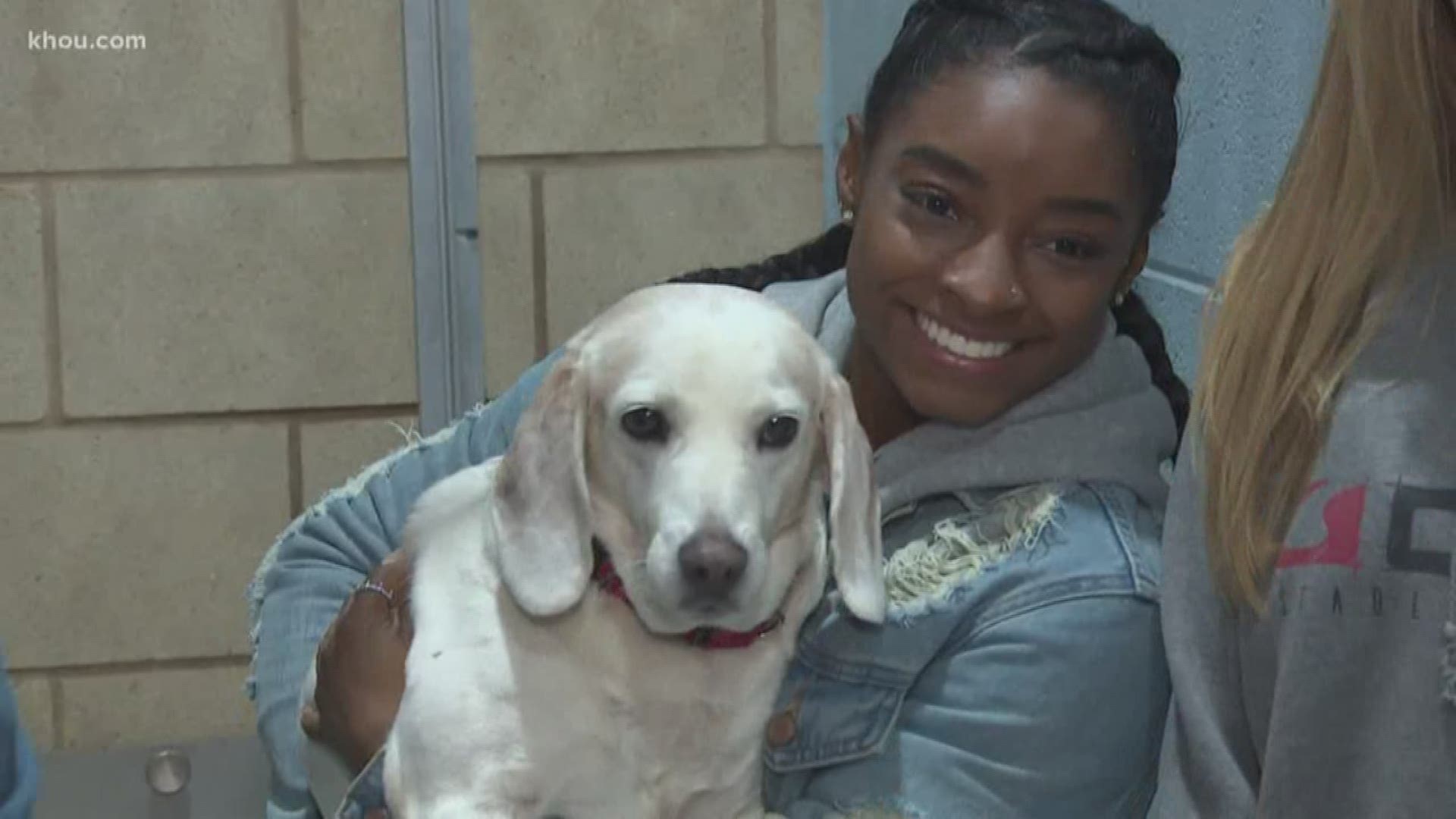 Houston's own Simone Biles spent an hour in a dog kennel to help raise money for abandoned animal rescue.