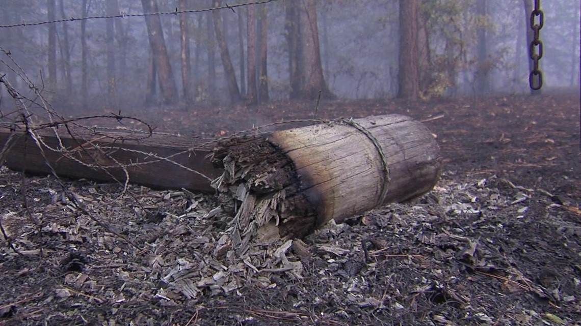 Jasper County fire 95% contained, has burned 3,500 acres - Vimarsana News