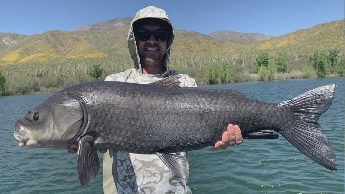 Arizona father and son share their unforgettable fishing tale - Vimarsana News