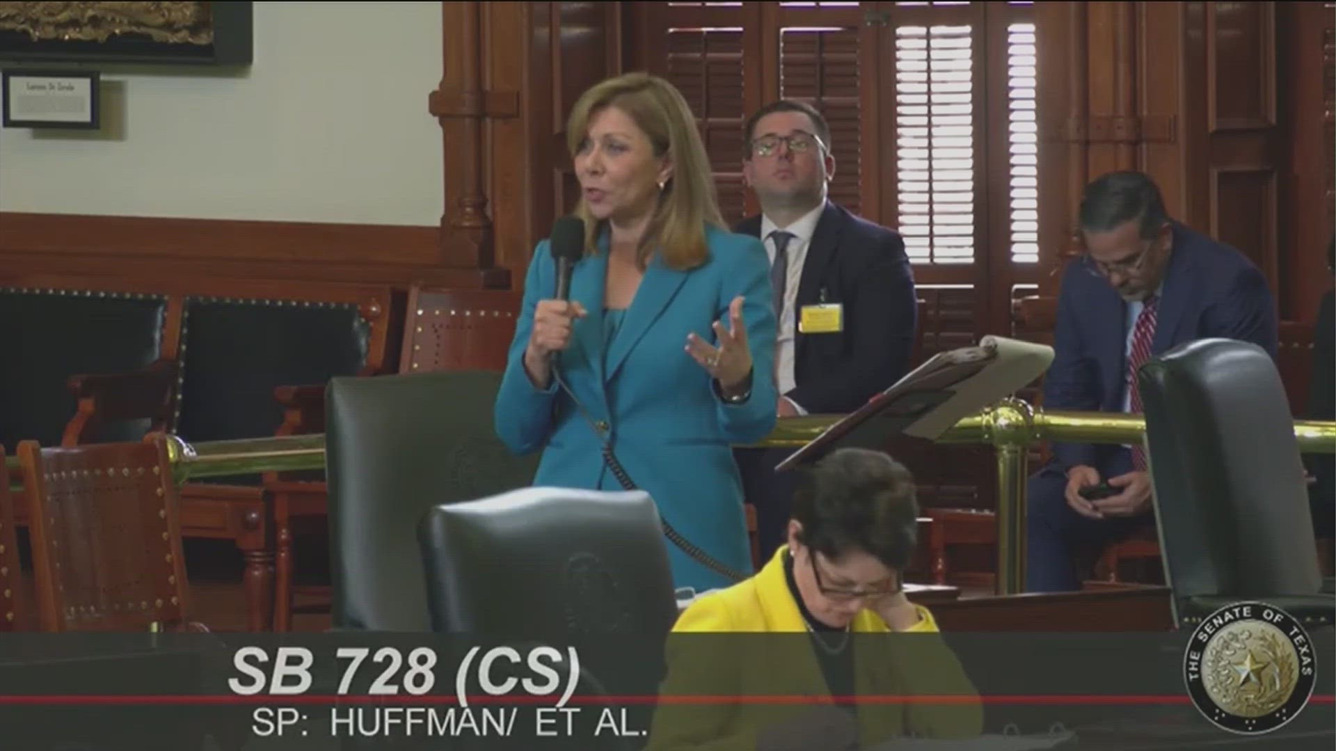 Senate Bill 728 would make Texas law align with federal standards in reporting mental health records of juveniles for gun background checks.