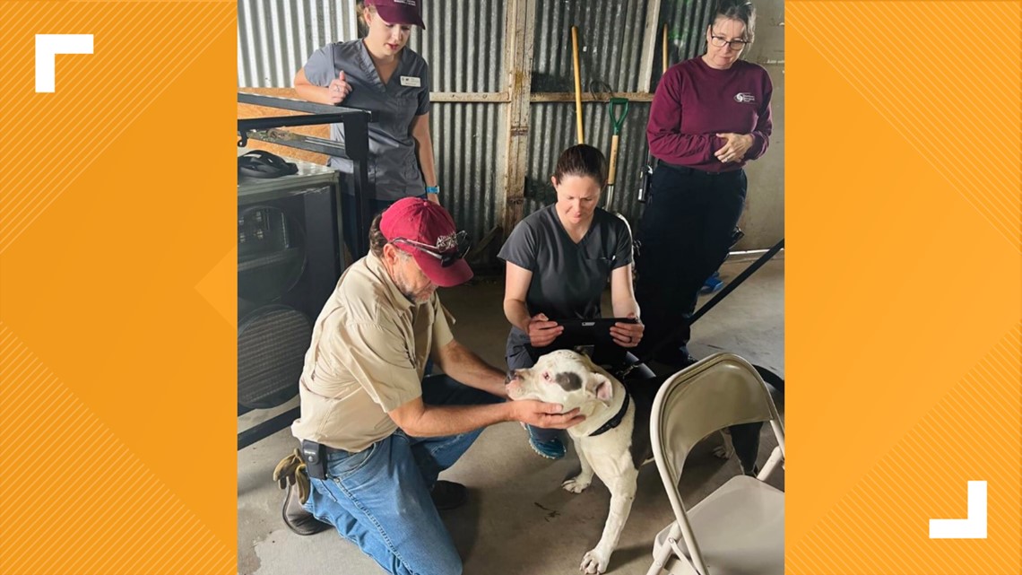 Texas A&M AgriLife Service expands statewide disaster response - Vimarsana News