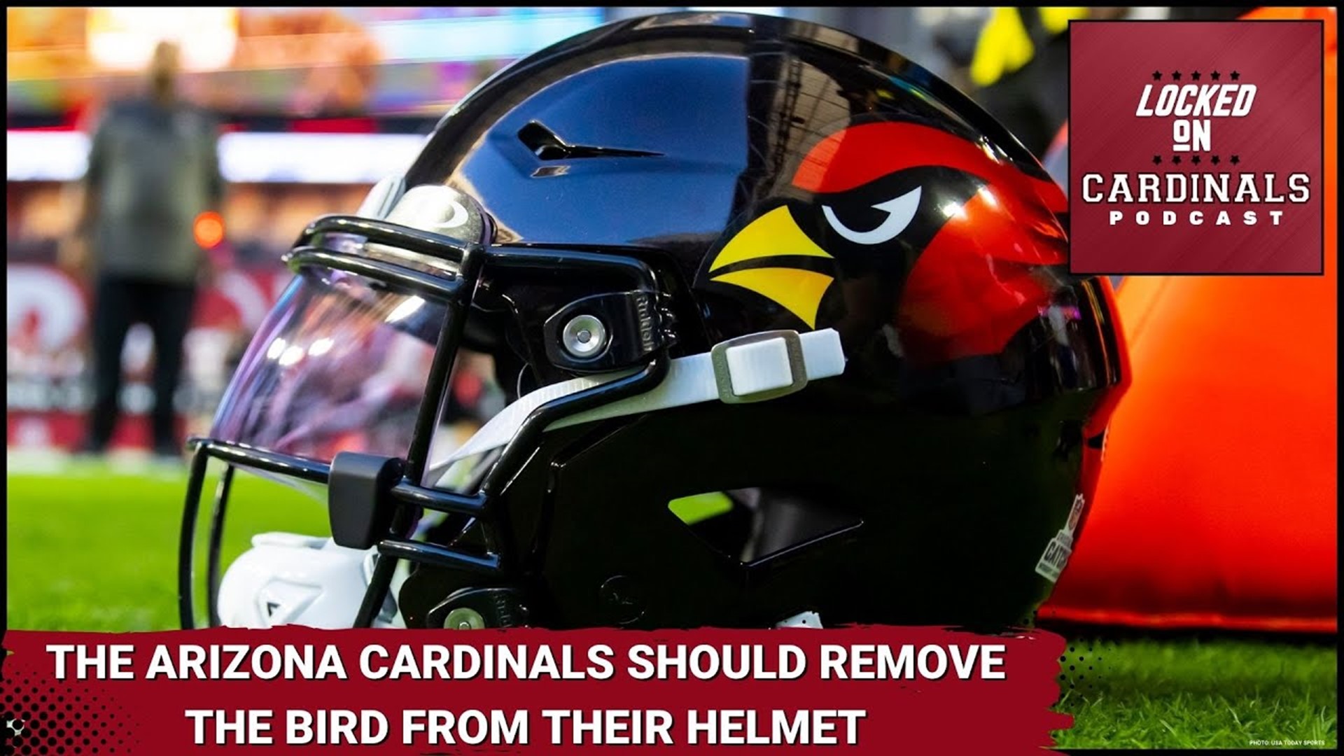 Arizona Cardinals Should Remove the Bird from the Helmet