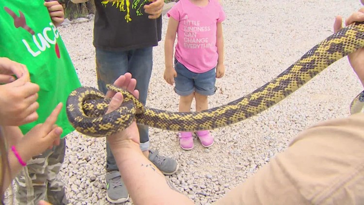 It's snake season: Texas wildlife expert shares tips on how to protect yourself and your home