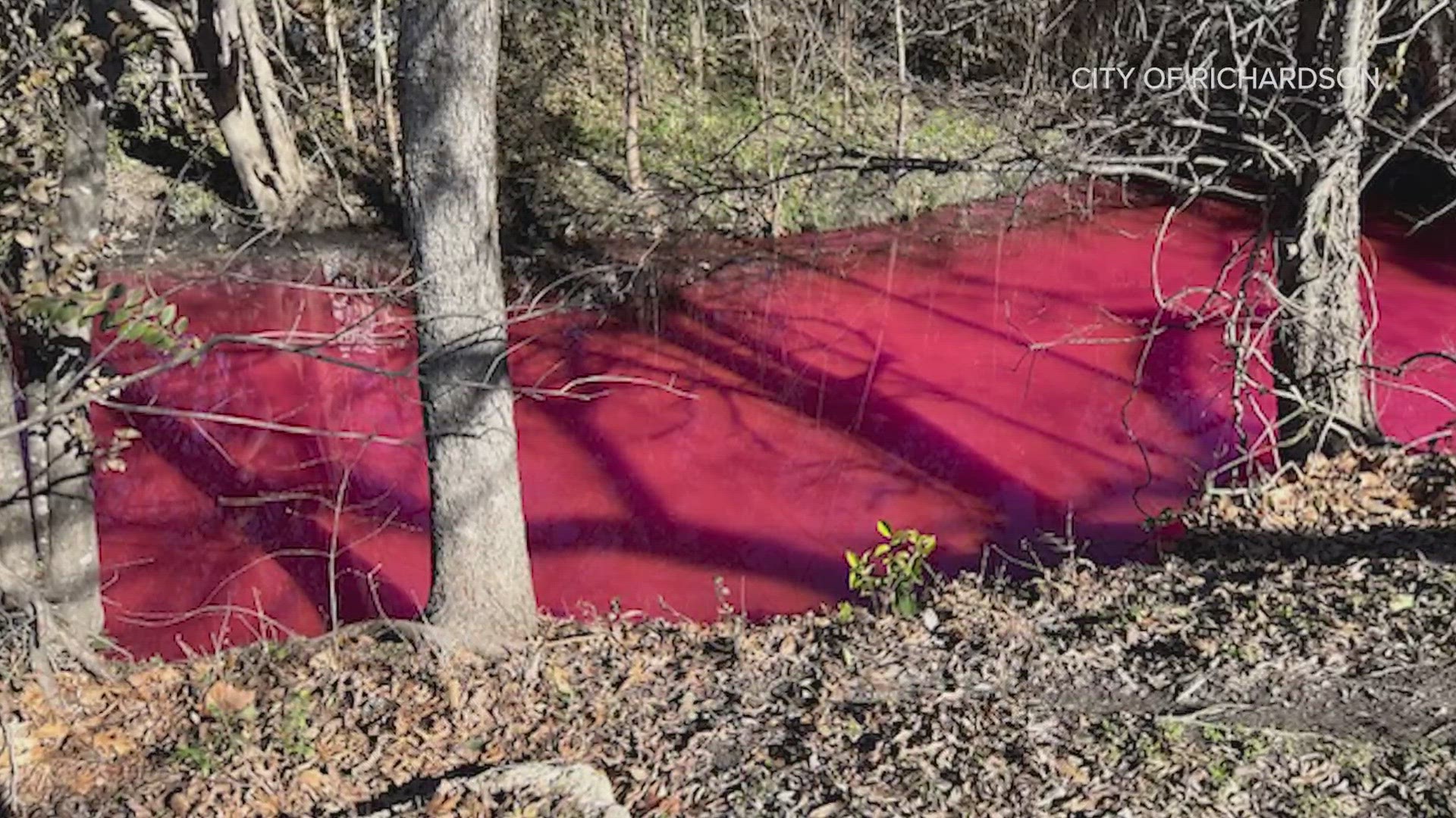 On Monday, someone called the Richardson police when they saw a creek filled with red liquid! Here's the story behind how it happened.