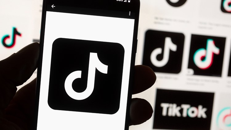 TikTok CEO to tell Congress app is safe, urge against ban