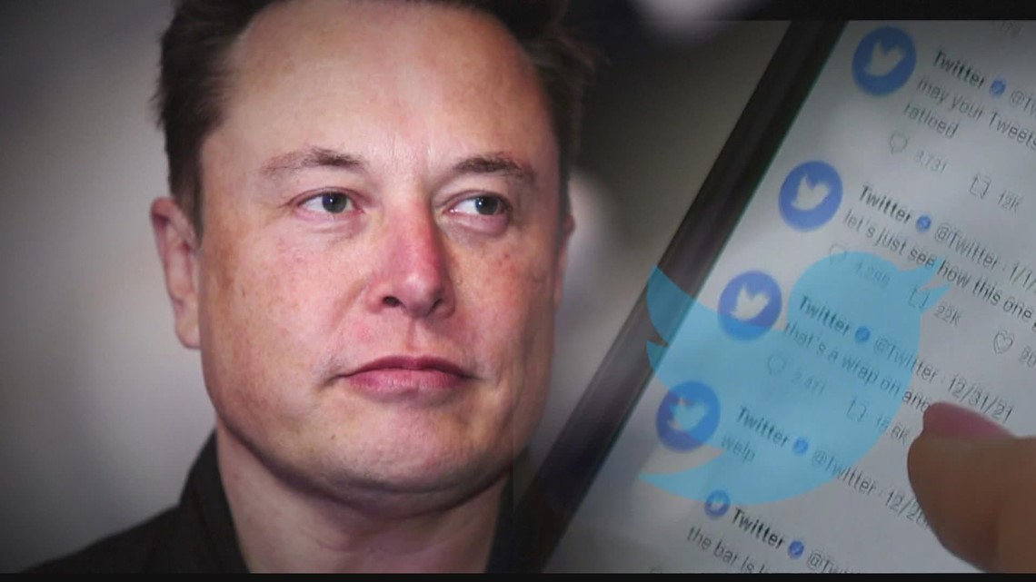 Elon Musk sparks "free speech" controversy after Twitter buyout - Vimarsana News